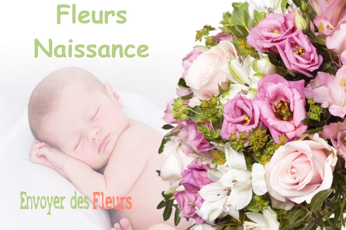 lIVRAISON FLEURS NAISSANCE à SAINT-JULIEN-DE-L-HERMS